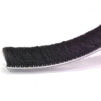 100%PP 3p رمادي أسود النافذة والباب السيليكون عازل للماء كومة بلاستيكي الطقس شريط 3-50mm العرض 3-25mm ارتفاع كومة