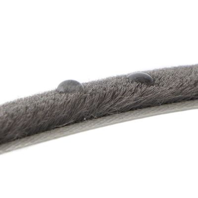 ارتفاع كومة 3-25mm / عرض 3-50mm الطقس شريط الصوف كومة للباب والنوافذ